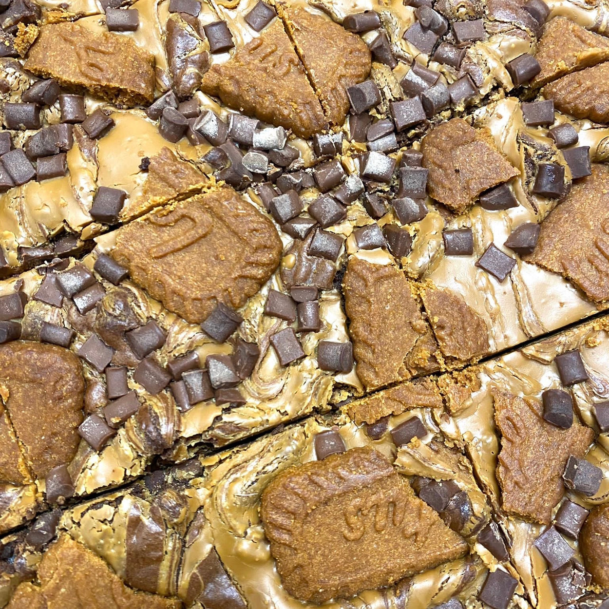 Brownie (Biscoff)