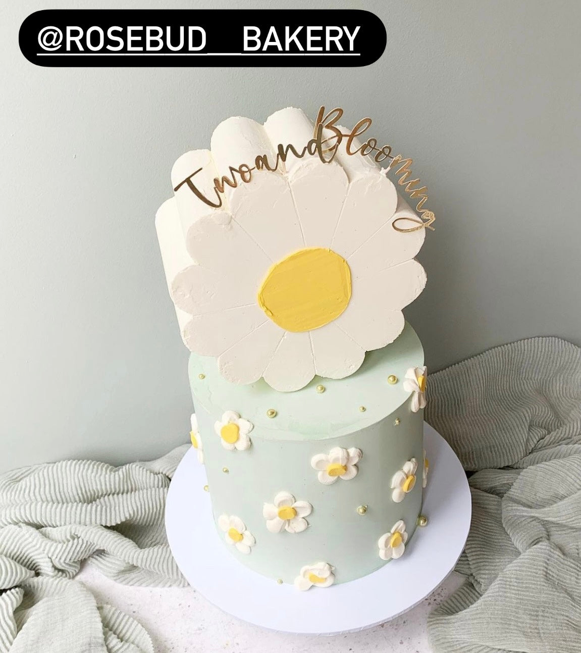 Petal Ganache Plates